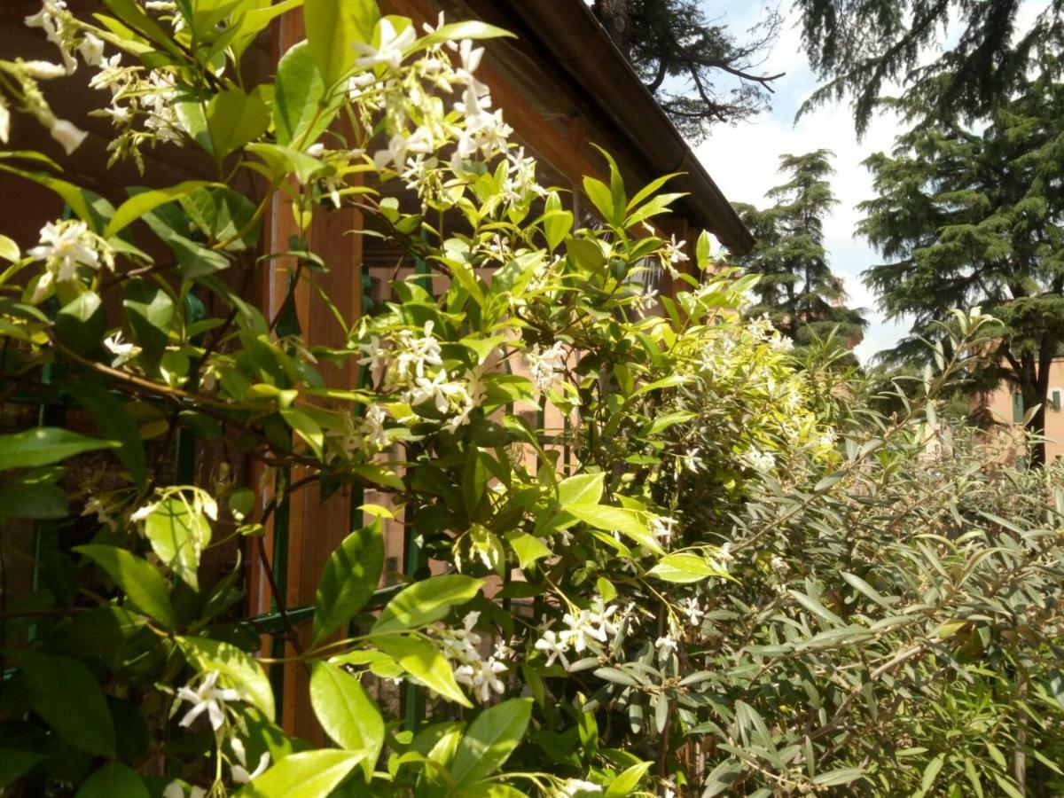 A Casa Di Edi Apartamento *
